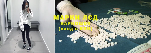 крисы Баксан