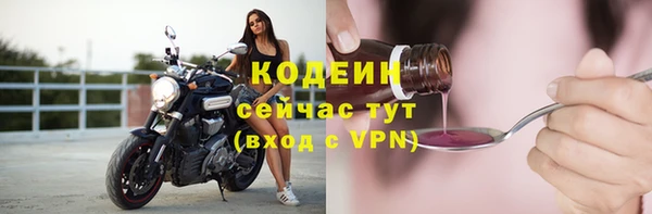 крисы Баксан