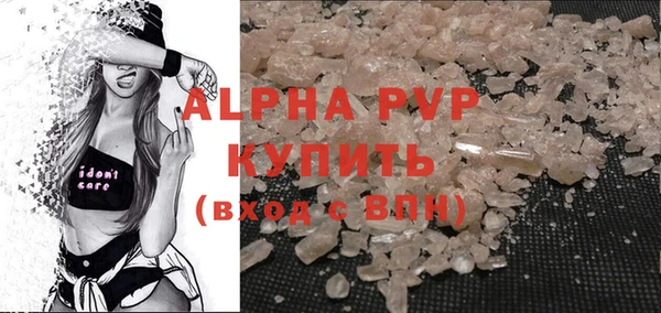 крисы Баксан