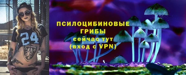 соль ск Балахна