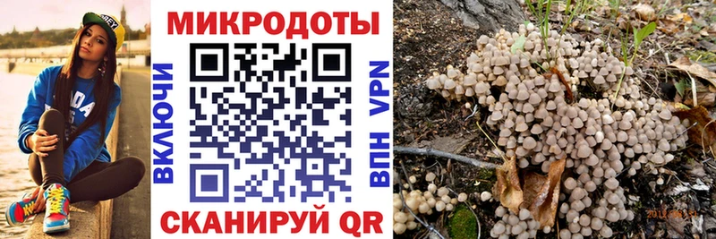 Галлюциногенные грибы GOLDEN TEACHER  Купить где  Озёры 
